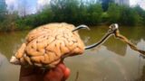 BRAIN for Bait Catches Monster Fish!