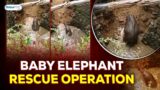 Baby elephant rescue operation