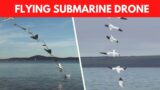 China USV Fleet, How China Built Flying Unmanned Submarine, Unmanned Surface Vessels Replace Sailors