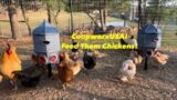 Coopworx Feed/Water Silos: Having Chickens Has Never Been So Easy!