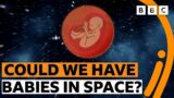 Could we have babies in space? – BBC