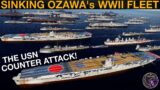 DAY 2: Single 2020's Aircraft Carrier vs 1944 Battle Of The Philippine Sea Japanese Fleet | DCS