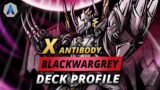 DELETE ALL TAMERS!!! BlackWarGreymon X Antibody Deck & Combo Guide | Digimon Card Game BT12 Format