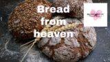 Daily devotional Bread from heaven