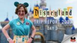 Disneyland Park on Day 3 of 25th Birthday Trip | Talking Mickey Project