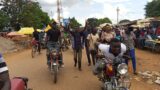 Drama as Soroti city woman MP beats up security during a protest over women's day celebrations