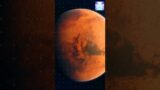 Elon Musk's Dream For Colonizing Mars #shorts #mars #colony #elonmusk #spacex #starship #mars2050