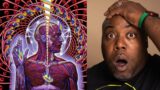 First Time Hearing | TOOL – The Grudge Audio Reaction