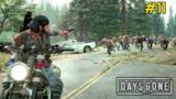 Found New Zombies Horde – Days Gone Gameplay #11