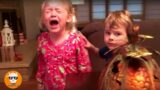 Funny Baby Siblings Trouble Maker – Siblings Cry then Fight Over Everything || Just Funniest