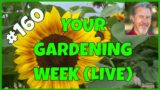 Garden Tour Magic (Q&A)