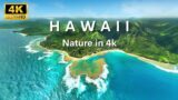 Hawaii's Kaleidoscope: An Ode to its Coastal, Cascading, and Fiery Beauty in 4K. #hawaii  #4kuhd