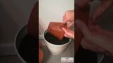 How To CLEAN Terracotta Pots