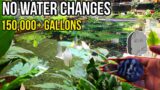 I Don't Do Waterchanges on 150,000+ Gallons! Here's How