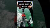 Jump over a Whale #shorts #whale #monster #ocean #marine #wildlife #viral #funny #tiktok