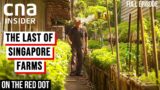 Lim Chu Kang: The End Of An Era Of Farming In Singapore | On The Red Dot | Full Episode