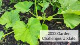 Live Chat: 2023 Garden Challenges Update