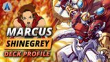 MARCUS PUNCH FOR GAME!!! ShineGreymon Deck Profile & Combo Guide | Digimon Card Game BT12 Format