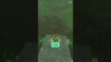 Making a Monster Truck in Zelda TOTK