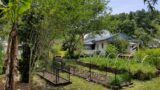 May 2023 GardenTour ~~~ FOODS we grow in N. Florida. Edible Yard ~ Food Forest ~ Permaculture