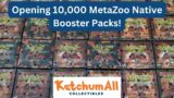 MetaZoo Native: Pull Rates, Expected Value, Native 19 Chase Cards
