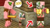 Monster School : Zombie Pigman Family Life – Minecraft Animation