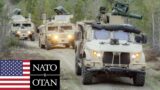 NATO: US Marines and Swedish Armed Forces during an exercise.