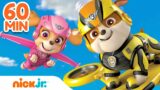 PAW Patrol Rubble's Air Rescues! w/ Skye | 60 Minute Compilation | Rubble & Crew