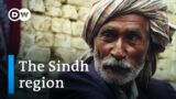 Pakistan’s forgotten civilization | DW Documentary