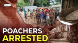 Poachers arrested from Similipal