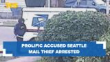 Prolific accused south Seattle mail thief arrested after postal vehicles, keys stolen
