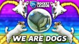 ROCKET LEAGUE, BUT WE'RE ALL DOGS