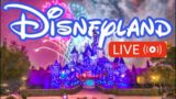 Saturday night live at Disneyland! Fireworks , rides and more!