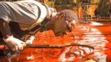 Small Town Discovers Their River Has Turned Into Blood Due To a Biblical Plague