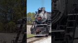 Southern Railway #4501 Meets NS Intermodal