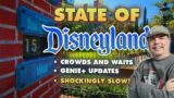State of Disneyland | 05/2023 | Updates from every land and attraction