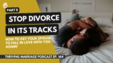 Stop Divorce in Its Tracks How to Get Your Spouse to Fall in Love with You Again! Part 2