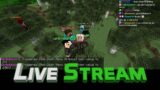 Stream Archive – Birthday Stream with Mob Dash! and Fetchr with viewers
