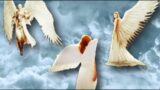 Symbolic Rapture Shift Change Dream | Sabbath Night
