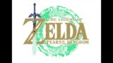 The Legend of Zelda: Tears of the Kingdom OST – Link's House (Extended) + Fire and Waves Sounds
