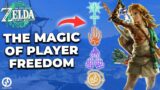 The Magic Of Player Freedom: Why Tears Of The Kingdom Might Be The Game Of A Generation
