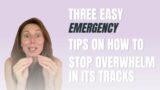Three EASY Emergency Steps to Stop Overwhelm in its Tracks