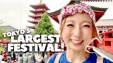 Tokyo's LARGEST Festival! – SANJA MATSURI 2023