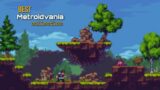 Top 10 Amazing collection of 2D Metroidvania Platformer Games