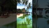 Tropical Heaven with Infinity Pool,#infinitypool,#beachresort,#beach,#tropical,#resort