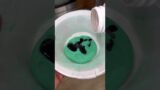 Turning lotion into slime experiment