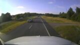 Turtle traffic jam leads to crash on Florida highway