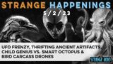 UFO Frenzy, Child Genius vs. Smart Octopus, Thrifting Ancient Artifacts & Bird Carcass Drones