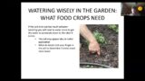WATER WISE: Garden Watering, Rainwater Catchment Systems