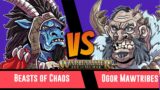 Warhammer Age of Sigmar Battle Report: Beasts of Chaos vs Ogor Mawtribes